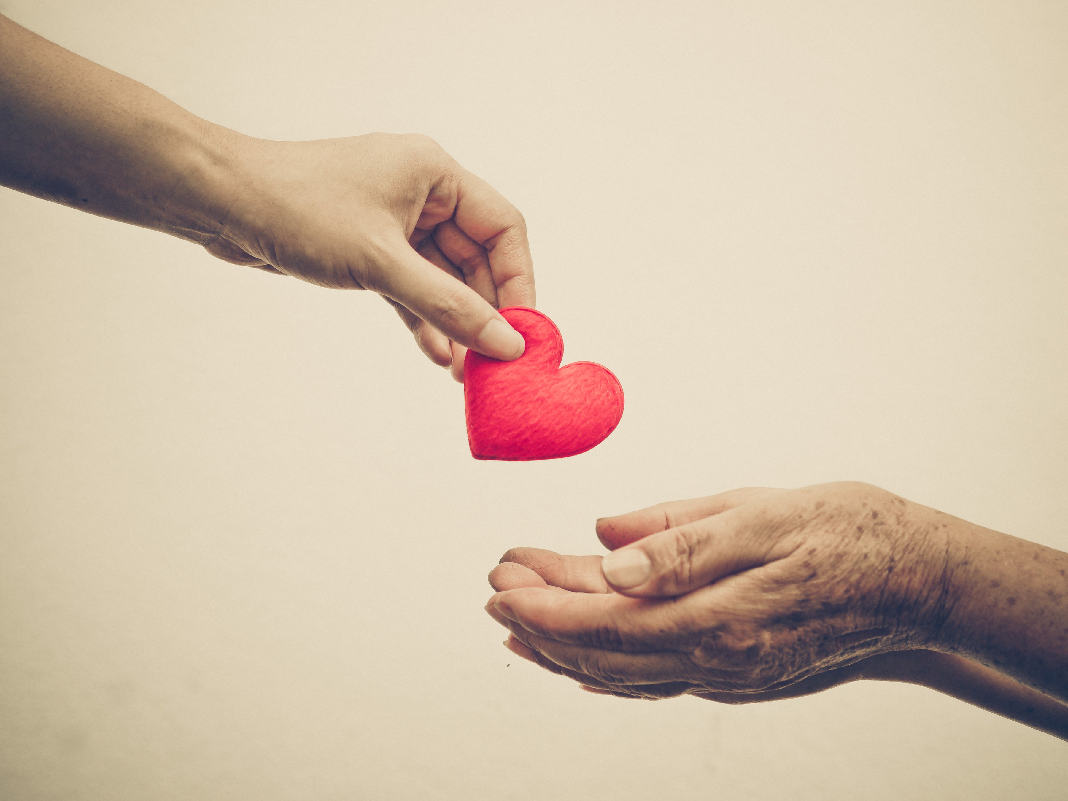 What is Compassion? How to Cultivate Compassion in Your Everyday Life