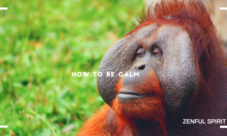 how to be calm