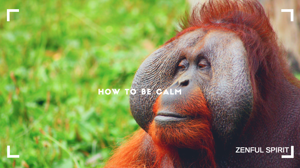 how to be calm