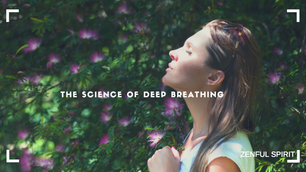 The Science of Deep Breathing