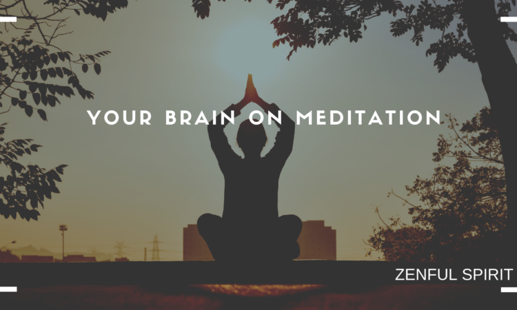 brain on meditation