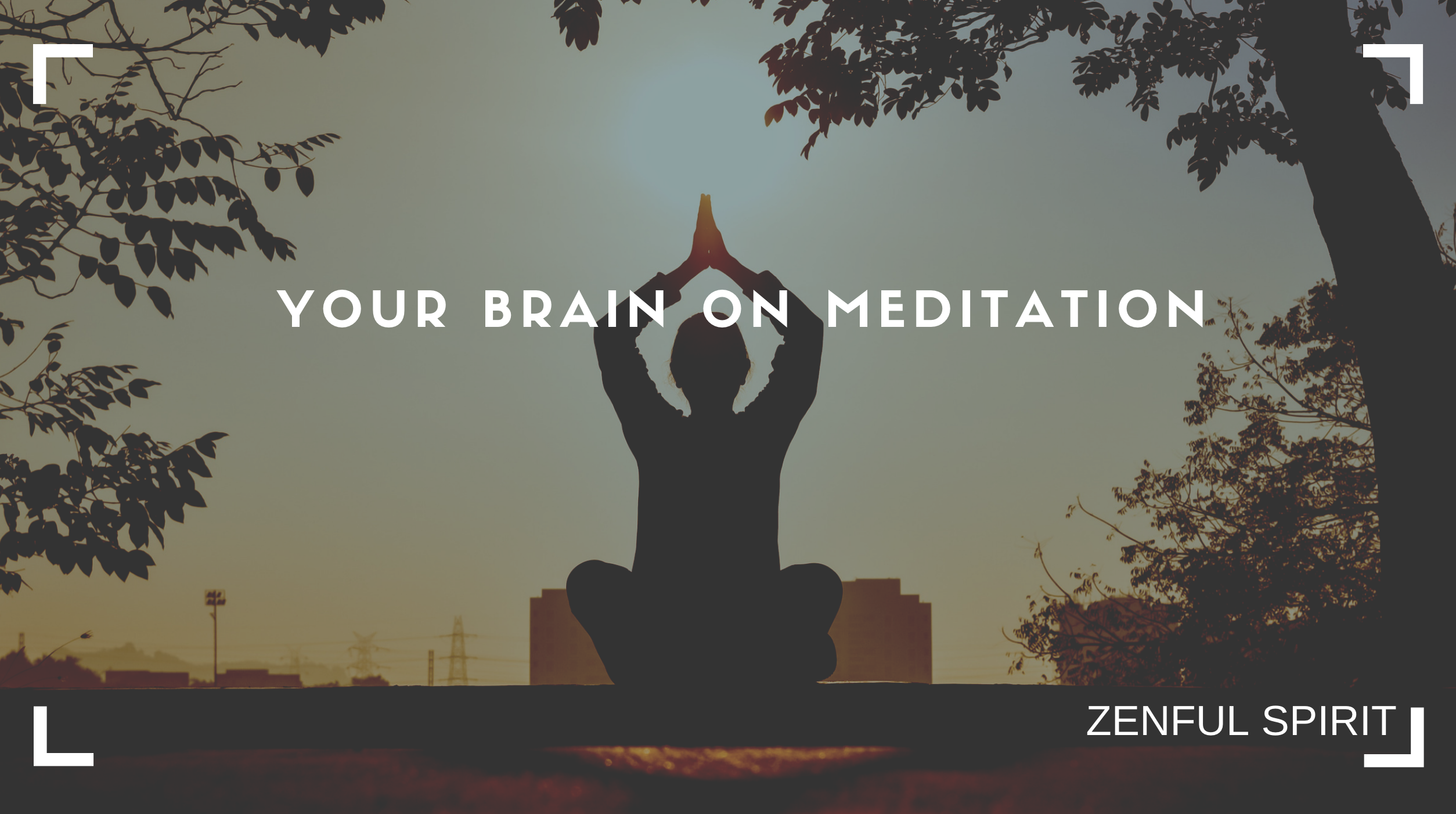 brain on meditation